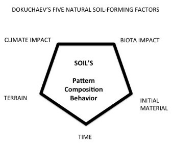 Dokuchaev's Five Natural Soil - Forming Factors Pentagon- Inside: " Soil's Pattern Composition Behavior" Sides: Climate impact, Biota Impact, Initial Material, Time, Terrain