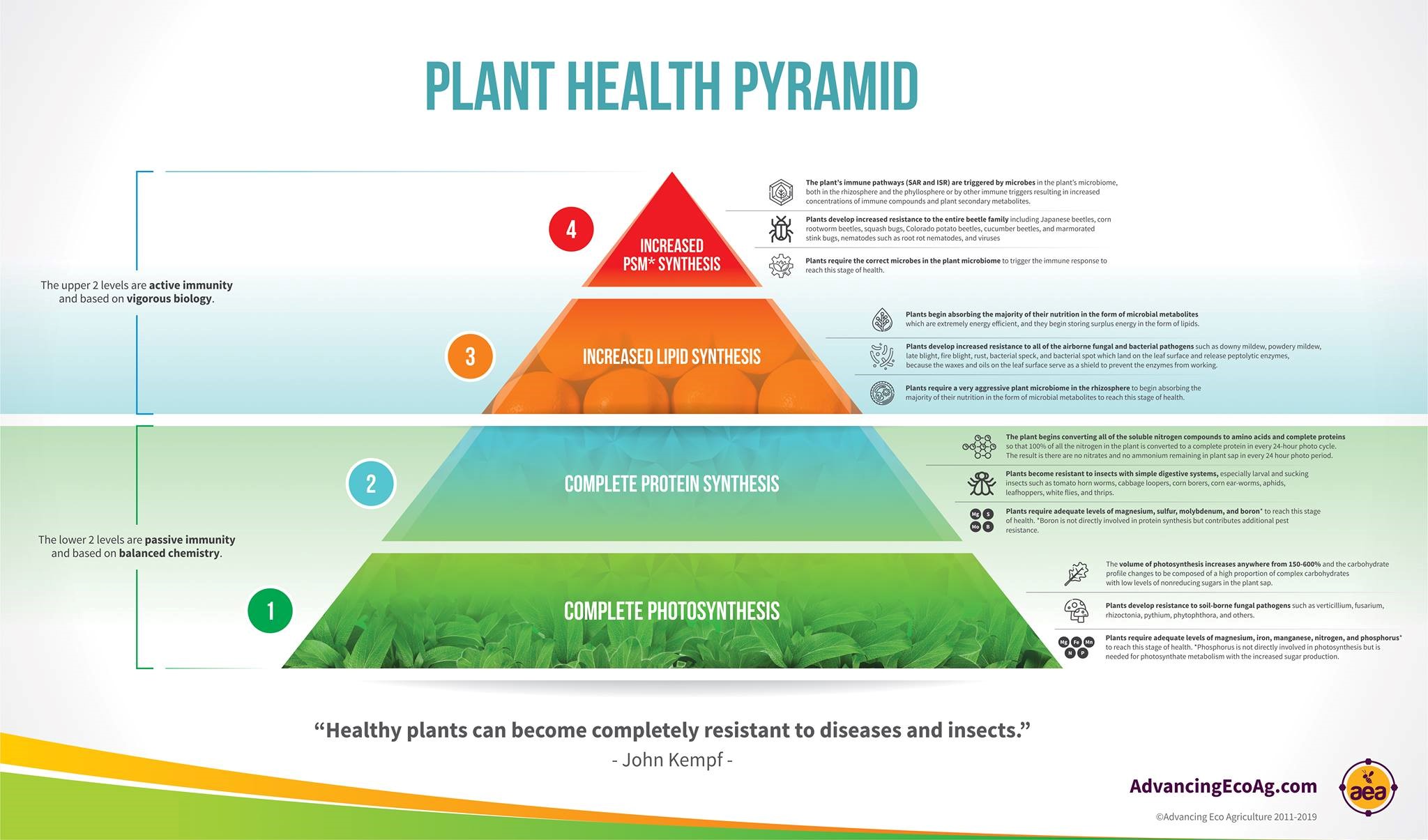 Plant Health Pyramid - click to go to website with complete PDF
