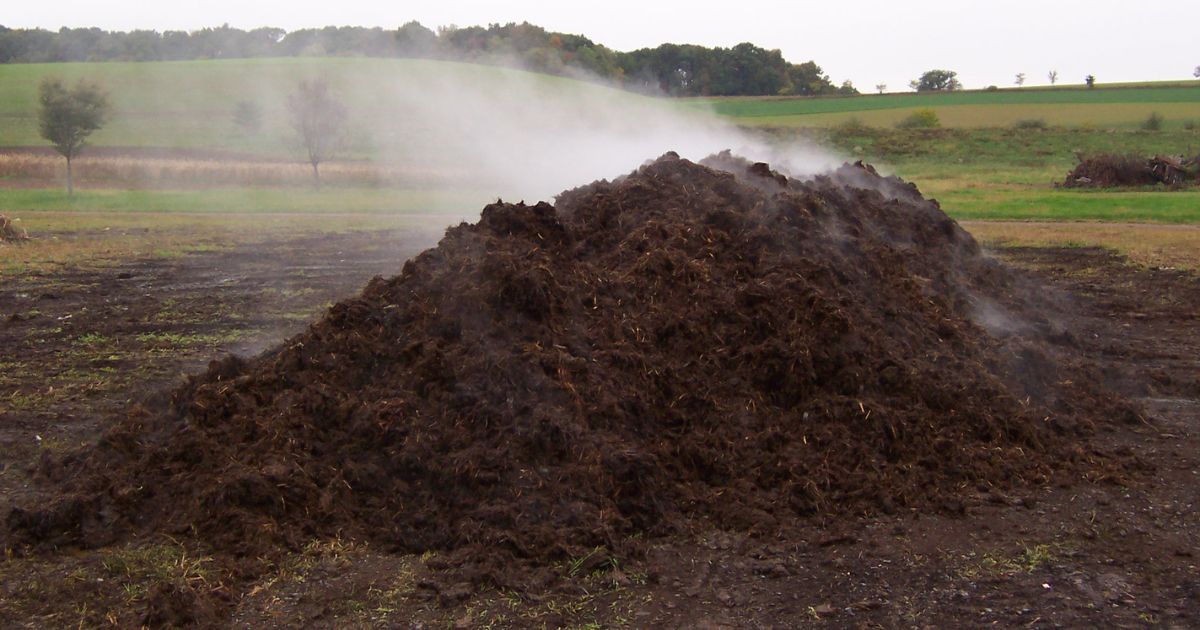 steaming waste pile on field