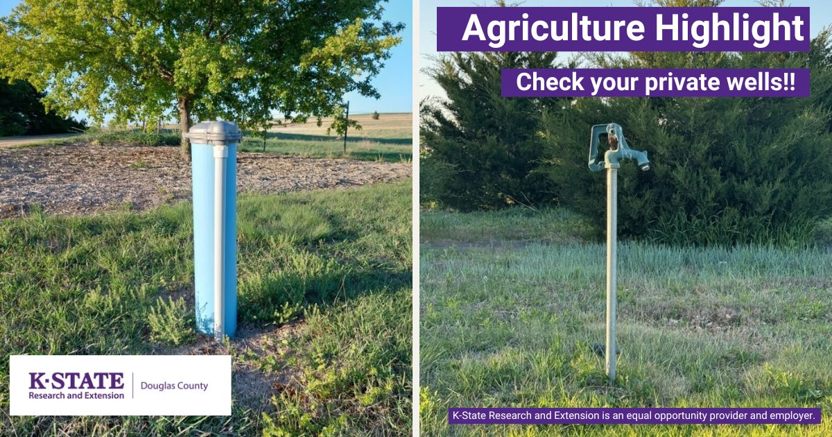 Agriculture Highlight. Check your private wells! K-State Research and Extension is an equal opportunity provider and employer.  K-State Research and Extension Douglas County Image of two private water wells.