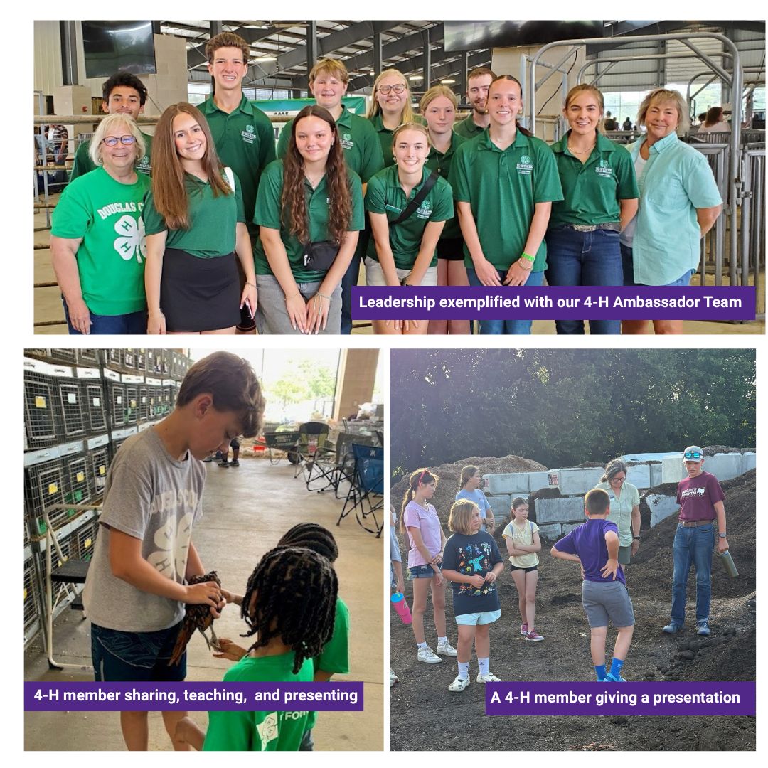 Collage. Leadership exemplified with our 4-H Ambassador Team. A 4-H member sharing teaching  and presenting. A 4-H member giving a presentation