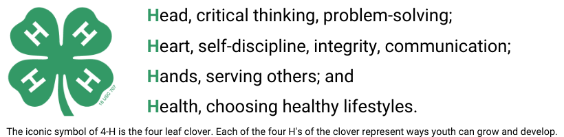 4H What the 4 H's Stand for 