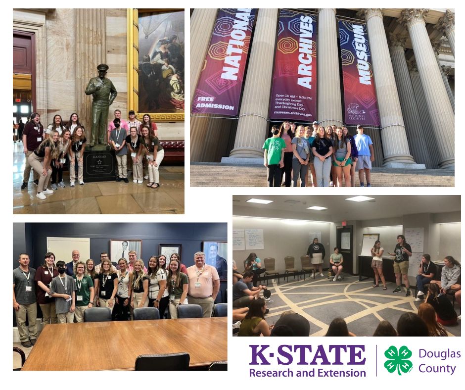 Summer 2022 CWF Images from  various Washington locations