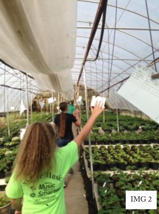 Kids in a green house walking down path looking at the rows of vegetation