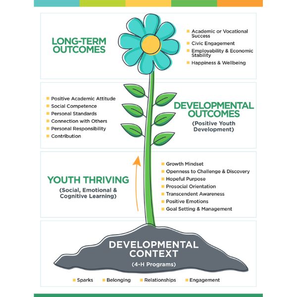 4-H Thrive Model Diagram