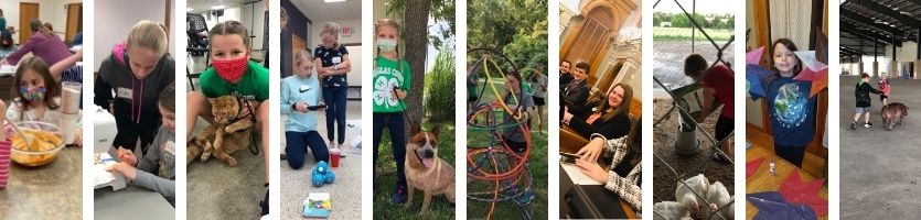 4-H Mini-Banner Projects