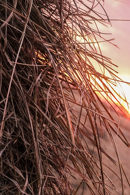 Hay and Sunset