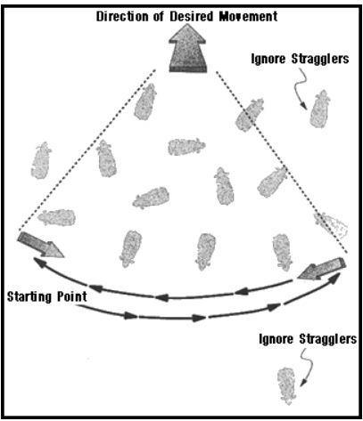 Zig Zag Method by Dr. Temple Grandin