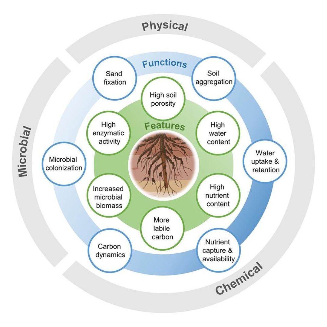 graphic of the microbal, physical, and chemical breakdown of soil