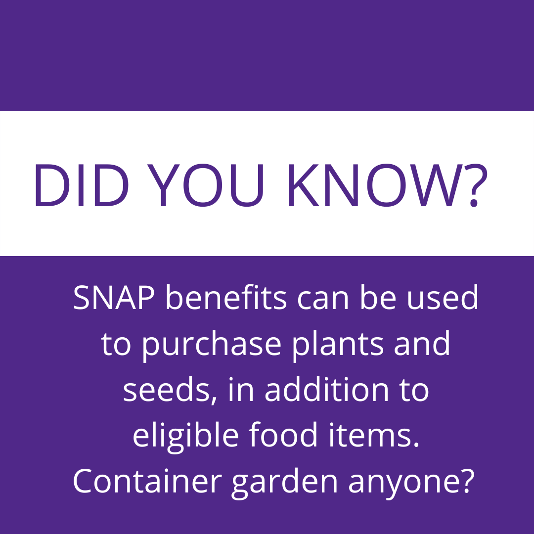 did you know? SNAP benefits can be used to purchase plants and seeds, in addition to eligible food items. Container garden, anyone?
