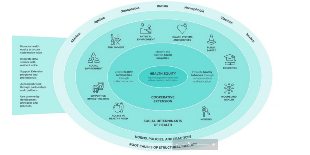 Health Equity Model