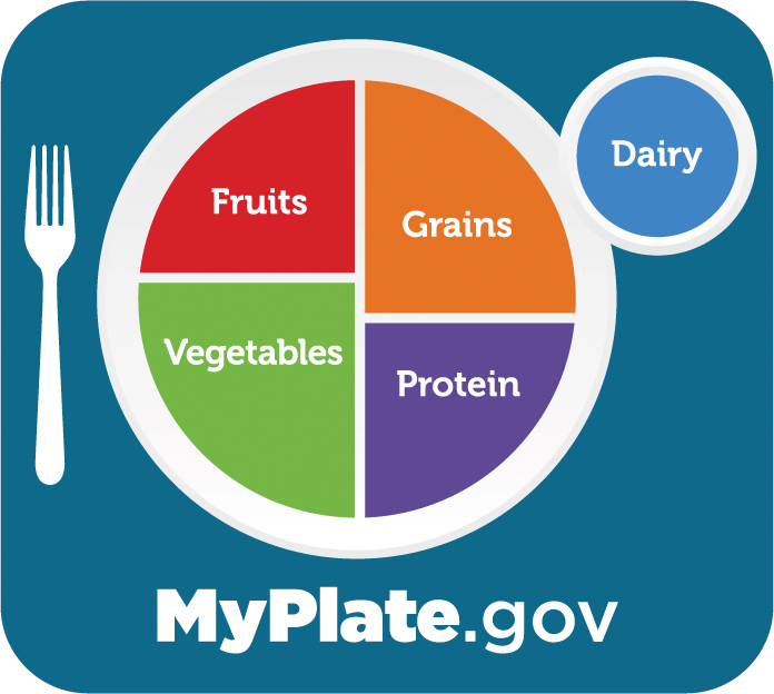 MyPlate.gov logo Fruits Vegetables Grains Protein Dairy