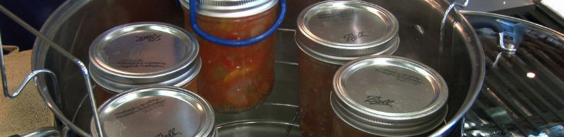 food being preserved in preservation containers 