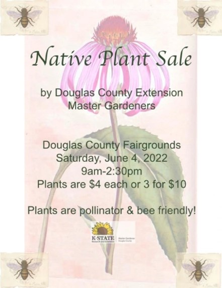 Native Plant Sale by Douglas County Extension Master Gardeners | Douglas County Fairgrounds Saturday, June 4 2022 9 am - 2:30 pm | Plants are $4 each or 3 for $10 Plants are pollinator & bee friendly 