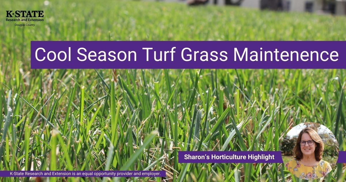 Sharon’s Horticulture Highlight Cool Season Turf Grass Maintenence K-State Research and Extension is an equal opportunity provider and employer.