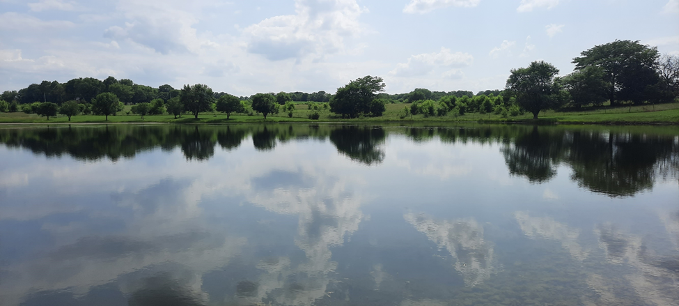 A body of water with trees and a blue sky