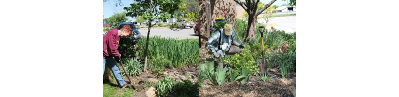 Extension master gardeners at work in the garden. 