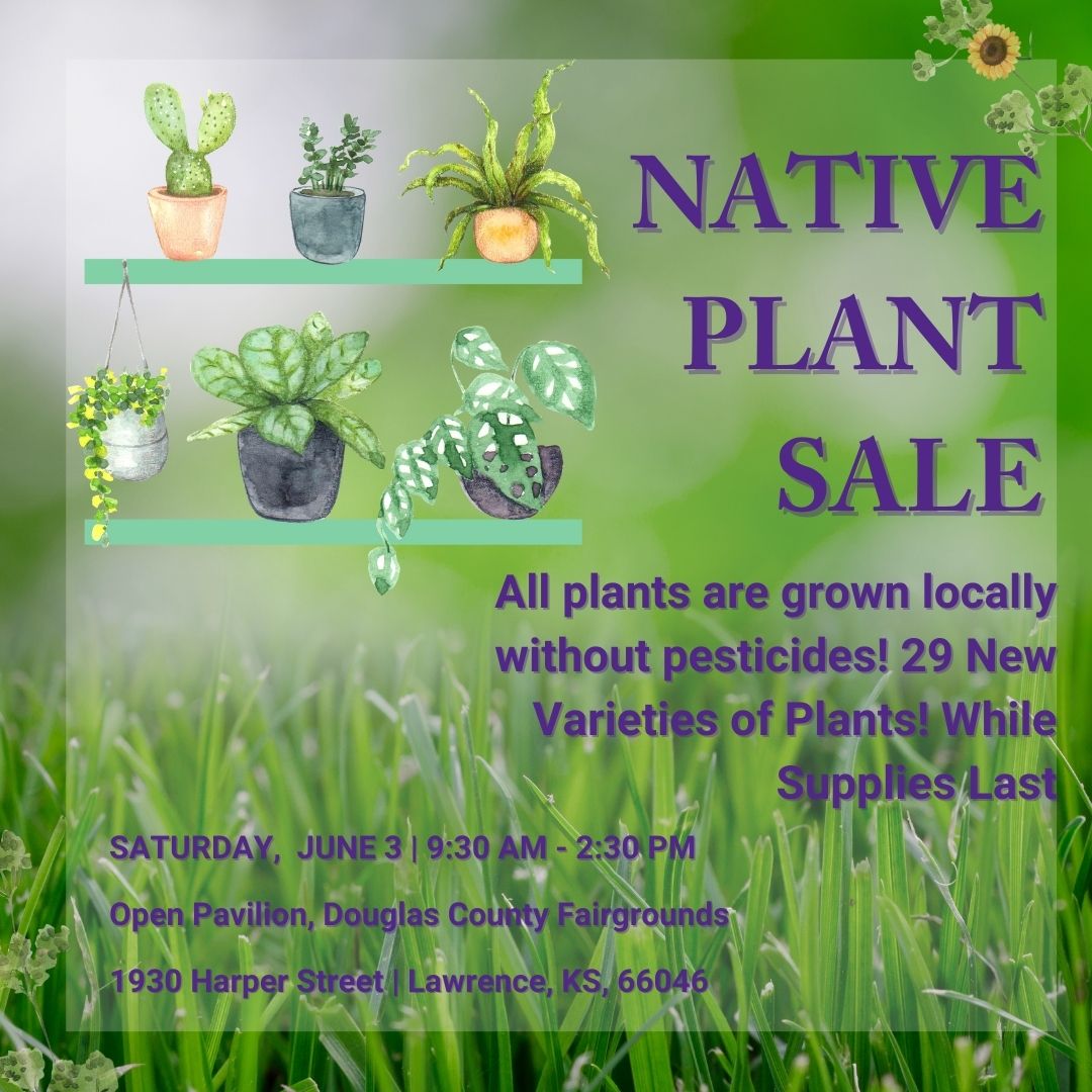 Native plant sale information in the foreground and a close up on a lawn in the background