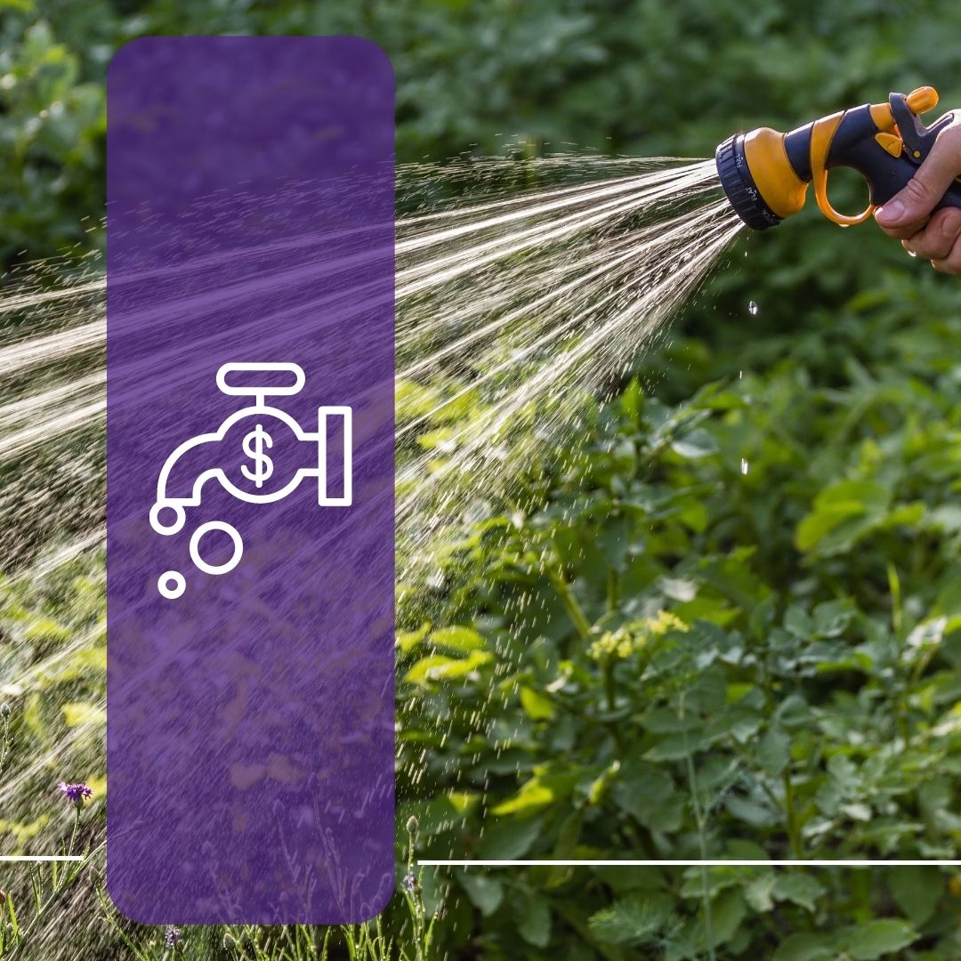 lower your water bill artilce img. hose watering plants and a faucet with droplets containing a money sign within