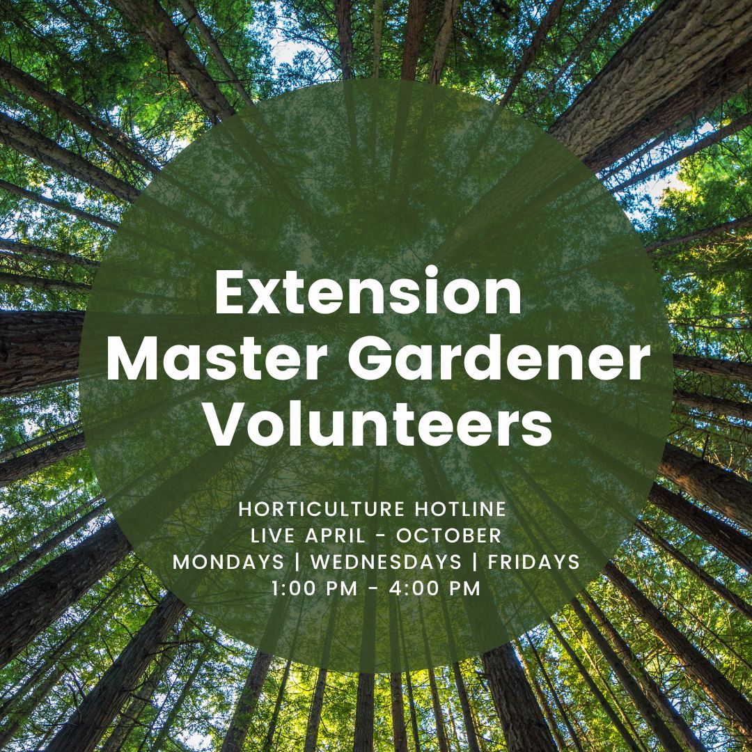 extension master gardener info  graphic