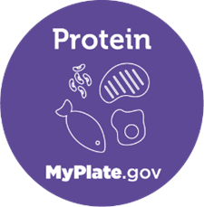 protein icon from myplate.gov