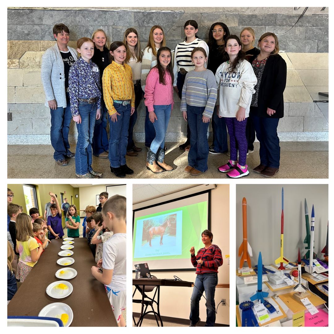 collage of 4h ers youth leading members in egg quality judging Fair rocket entries DgCo 4-H at Horse Panorama youth teaching Horse Project Club