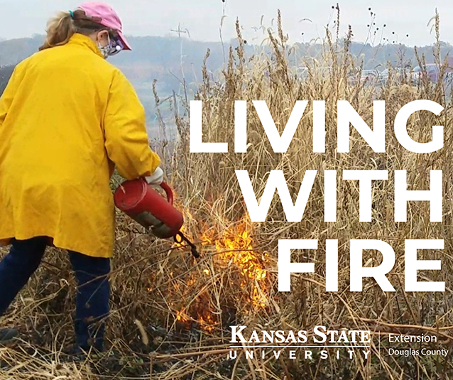 living with fire promo image.