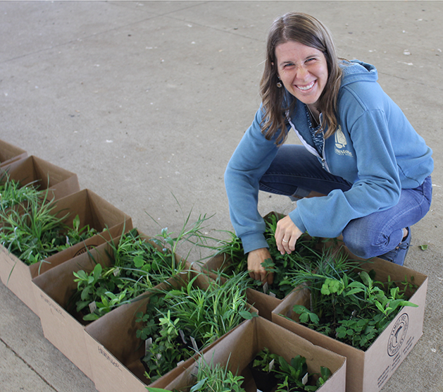 Master gardener with boxes of plants.