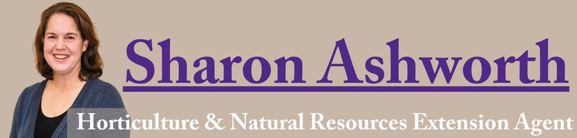 Sharon Ashworth Horticulture & Natural Resources Extension Agent information  link