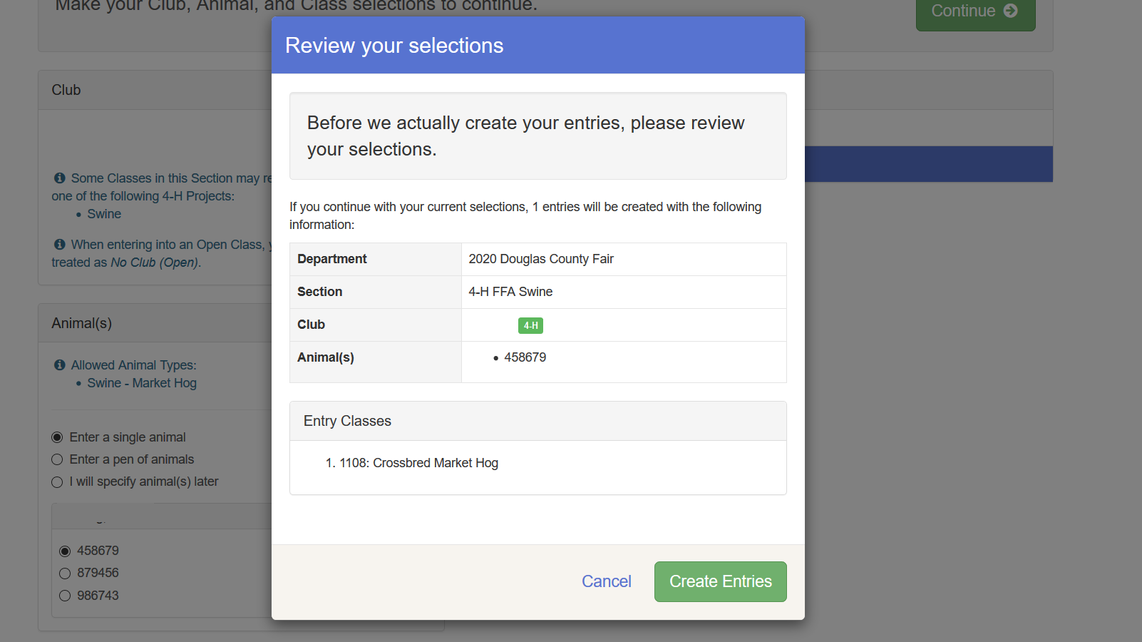 screenshot of "review your selection" with "creat entries" highlighted in green